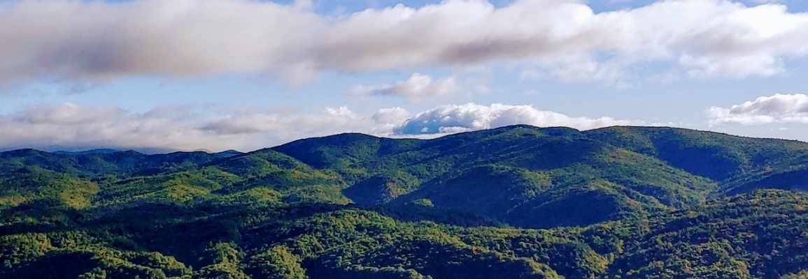 Appalachian Mountains in summer